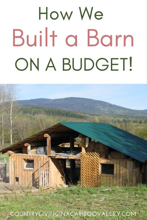 Feed Room Ideas Barn, Minimalist Home Living Room, Barn Door Baby Gate, Sheep Barn, Cow Barn, Livestock Barn, Barn Layout, Pallet Barn, Horse Farm Ideas