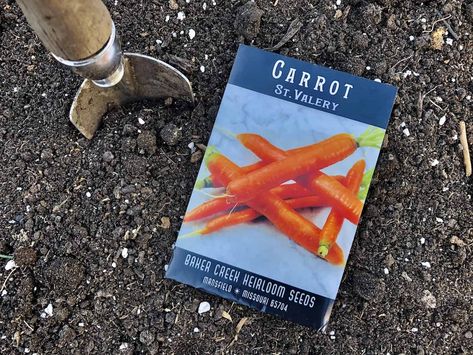 carrot seeds from baker creek Seed Companies, American Garden, Dough Recipes, Carrot Seeds, Sour Dough, Heirloom Vegetables, Seed Company, Organic Seeds, Herb Seeds