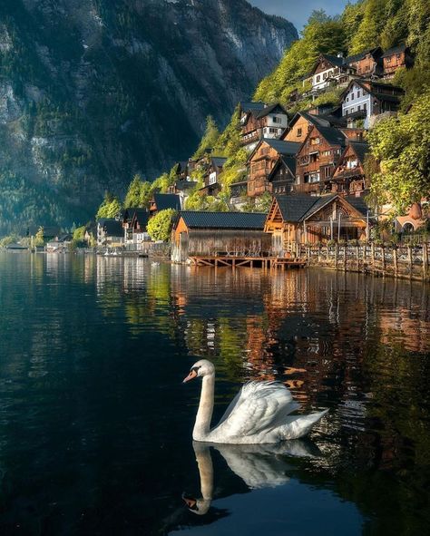 Hallstatt Austria, Austria Travel, Beautiful Places To Travel, Beautiful Places To Visit, Wonderful Places, Land Scape, Rafting, Beautiful Destinations, Beautiful Landscapes