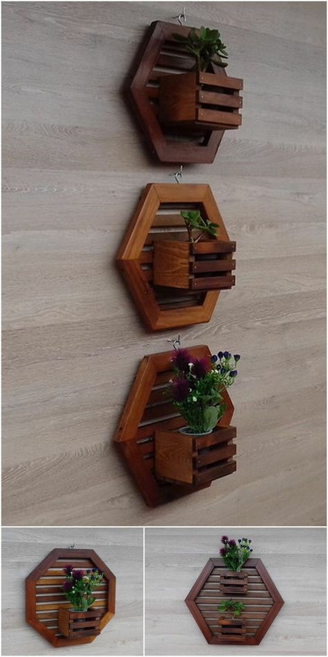 Diy Pallet Decoration, Wooden Pallet Shelves, Pallet Furniture Ideas, Kaktus Dan Sukulen, Homemade Furniture, نباتات منزلية, Pallet Decor, Plant Decor Indoor, House Plants Decor