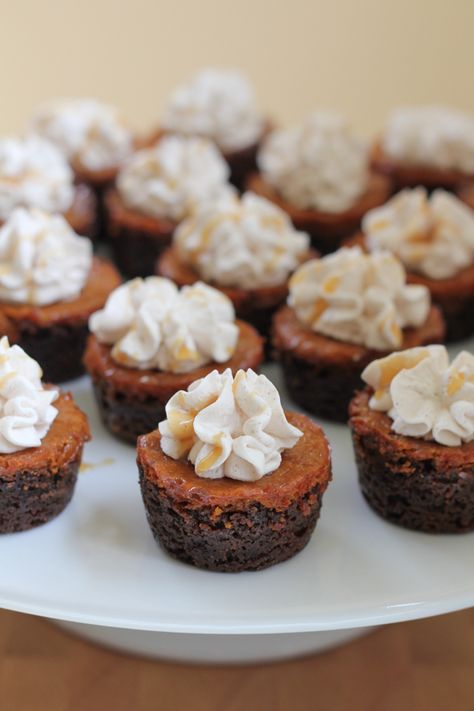 Mini pumpkin pies baked into a fabulous gingersnap cookie cup and topped with pumpkin pie spice whipped cream! These bite-sized desserts are the perfect way to end your Thanksgiving dinner! Cookies Japanese, Photography Cookies, Cookies Sandwich, Mini Pumpkin Pie, Pie Cups, Fall Sweets, Spiced Whipped Cream, Plating Food, Presentation Food