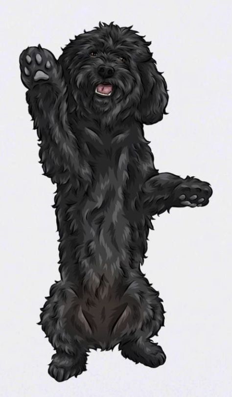 Poodle Drawing, Poddle, Collage Book, Pet Clinic, Baby Drawing, Animal Logo, Cute Wallpaper Backgrounds, Dog Grooming, Pet Portraits