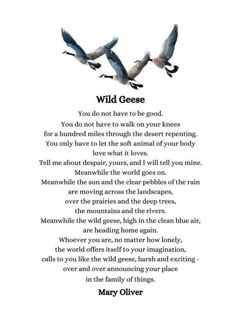 American Literature Wild Geese Poem, Wild Geese Mary Oliver, Bird Poems, Mary Oliver Poems, Wild Geese, Motivational Poems, Mary Oliver, American Literature, Body Love