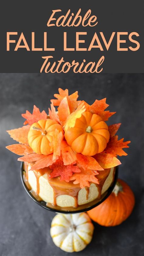 Make beautiful, edible fall leaves out of wafer paper for cake decorating. Fall Theme Cakes, Fall Leaf Cake, Fall Birthday Cakes, Leaves Cake, Buttercream Icing Recipe, Gingerbread House Recipe, Thanksgiving Cakes, Fall Cakes, Fall Wedding Cakes