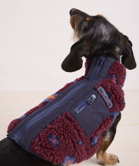 Shop Pet Heritage High-Pile Fleece SuperShep™ at vineyard vines Sew Dog Clothes, Whippet Puppy, Dachshund Clothes, Pet Things, Dog List, Pet Fashion, Dog Jacket, Dog Wear, Italian Greyhound