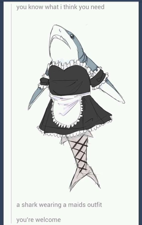 Here a shark wearing a dress to make your day. Maids Outfit, Shark Boots, Shark Tale, Yelled At, Shark Vacuum, Shark Week, White Sharks, Shark Tank, Memes