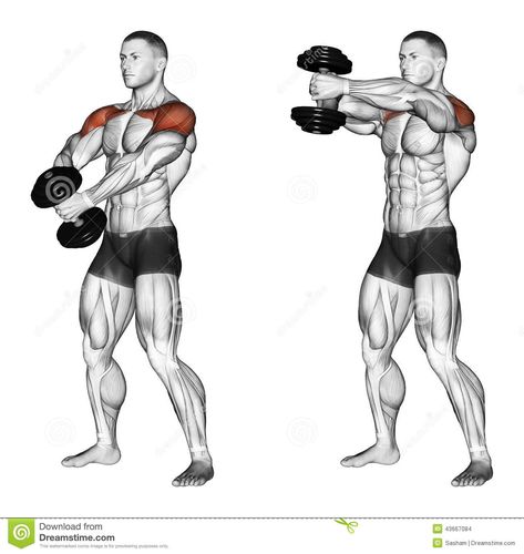 Photo about Ups of hands forward with one dumbbell. Exercising for bodybuilding. Target muscles are marked in red. Initial and final steps. Illustration of forward, marked, clavicular - 43667084 Shoulder Training, Gym Antrenmanları, Dumbell Workout, Weight Training Workouts, Workout Chart, Chest Workouts, Trening Abs, Body Fitness, Dumbbell Workout