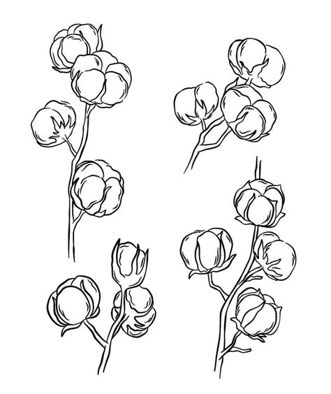 Cotton Branches Drawing Drawing Branches, Branches Drawing, Sketch Rose, Drawn Rose, Branch Drawing, Cotton Branches, Flower Graphics, Rose Drawing, Flower Sketches