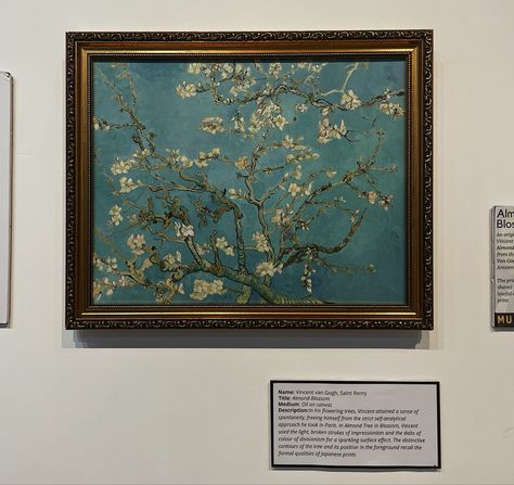 Almond Blossoms Van Gogh, Almond Blossom Van Gogh, Almond Blossoms, Van Gogh Almond Blossom, Almond Blossom, Blossoms Art, Van Gogh Art, Pablo Picasso, Vincent Van Gogh