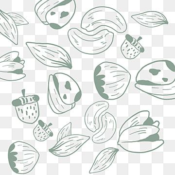 nut,pistachio,cashew nuts,shading Lotus Flower Art, Cashew Nut, Wood Texture, Clipart Images, Cashew, Surprise Gifts, Png Clipart, Lotus Flower, Pistachio