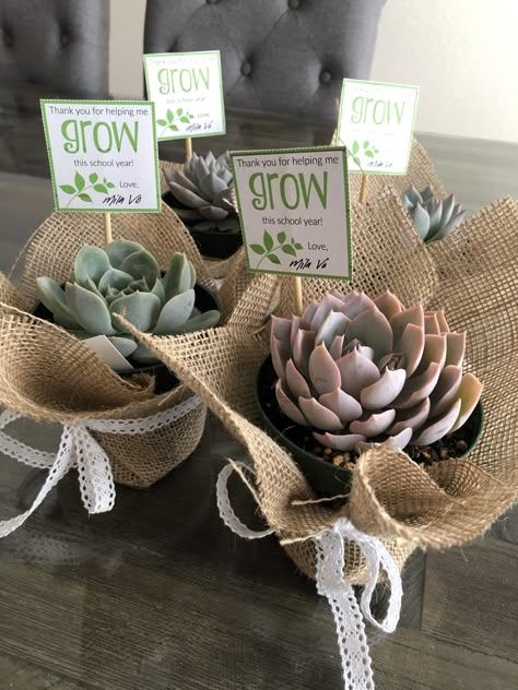 Succulents Thank You Gifts, Small Plants Gift Ideas, Manager Thank You Gifts, Small Appreciation Gifts For Teachers, Thank You Plants Appreciation Gifts, Small Thank You Gifts For Teachers, Thank You Succulent Gift, Thank You Centerpieces, Plants For Teachers Gift