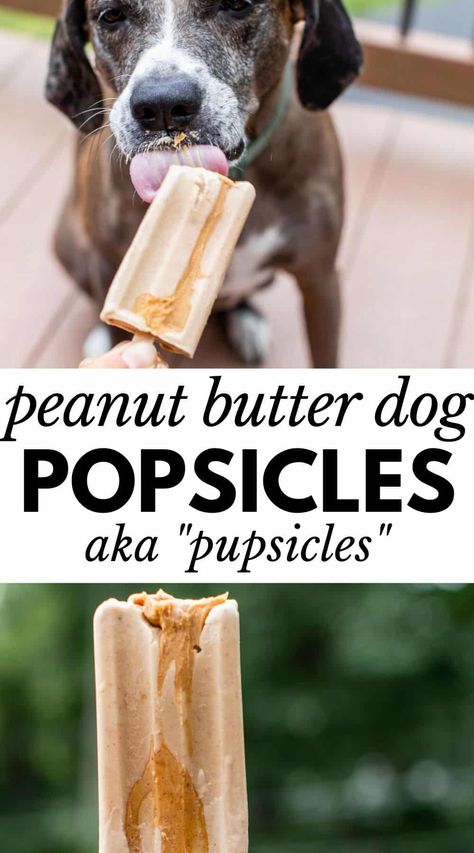 Dog Popsicles Recipe, Dog Popsicles, Frozen Dog Treats Homemade, Banana And Peanut Butter, Dog Cake Recipes, Frozen Dog Treats, Dog Biscuits Homemade, Dog Ice Cream, Easy Dog Treats