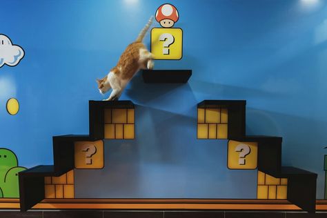 Super Mario Cat, Cat Projects, Diy Cat Tree, Kitty Games, Furniture Wood, Pet House, Funny Christmas Cards, Cat Room, Tree Diy