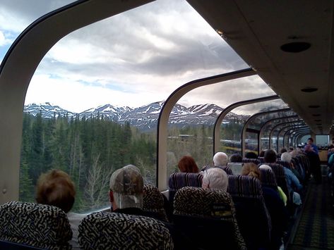 This Amazing Glass-Top Train Ride In Alaska Is Absolutely Gorgeous Train Trip Aesthetic, Alaska Family Vacation, Alaska Train, Alaskan Wildlife, Alaska Summer, Train Vacations, Alaskan Wilderness, Alaska Railroad, Alaska The Last Frontier