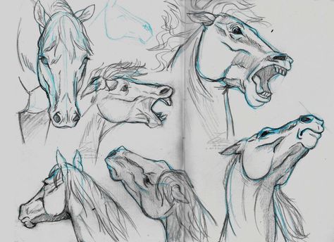 drawing horse rearing nd neighing - Google Search Horse Head Reference, Head Drawing Reference, Horse Head Drawing, Head Studies, Head Reference, Horse Rearing, Head Drawing, Tree Drawings Pencil, Drawing Heads