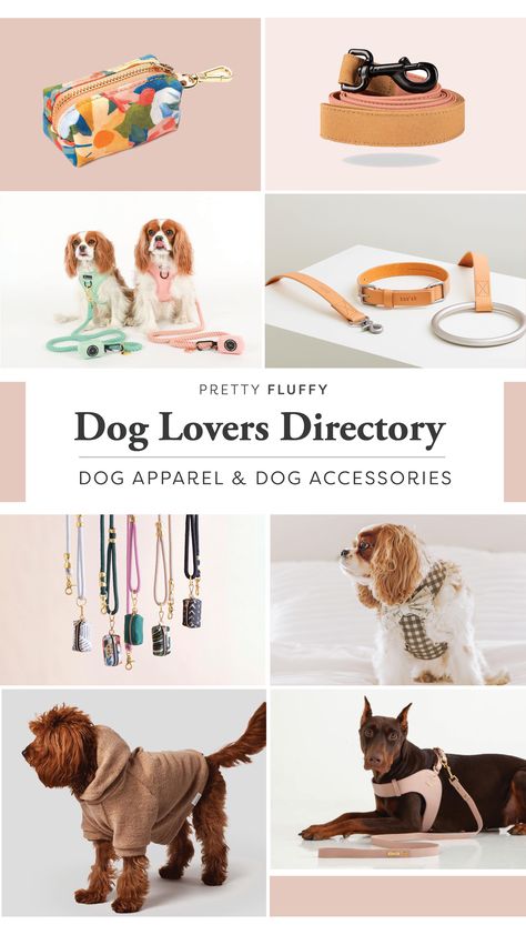 Pet Lifestyle, Designer Dog Accessories, Dog Trends, Velvet Dog Collar, Personalized Leather Dog Collar, Luxury Dog Collars, Dog Enrichment, Puppy Accessories, Cute Dog Collars