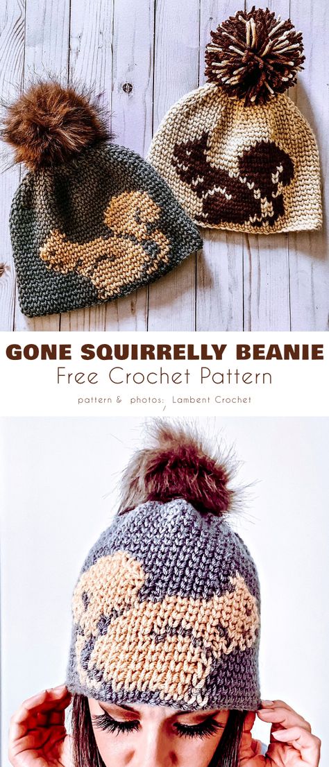 Crochet Squirrel Hat Pattern, Crochet Beanie With Design, Fall Beanie Crochet, Fall Hat Crochet, Fun Crochet Hat Patterns, Crochet Knit Look Beanie, Cool Crochet Hat Ideas, Crochet Fall Hats Free Pattern, Crochet Fall Hat