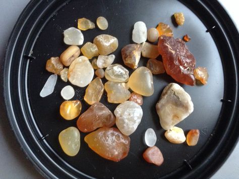 Ocean Shores, Wa. Agates. Found off Damon Point! Beach Agates, Clear Bad Energy, Rockhounding Washington, Ocean Shores Washington, Ocean Agate, Rock Collecting, Rock Tumbling, Agate Rocks, Rocks And Fossils