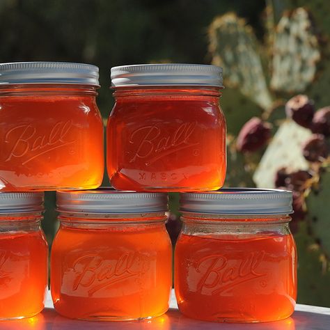 Cactus Recipes, Pear Jelly Recipes, Prickly Pear Jelly, Prickly Pear Recipes, Sweet Spreads, Pear Jelly, Cactus Recipe, Prickly Pear Juice, Cacti Flowers