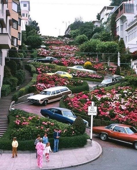 History on Instagram: “Lombard Street, San Francisco, 1975. “Lombard Street is known for the one-way block on Russian Hill between Hyde and Leavenworth Streets,…” 70s Architecture, San Francisco Pictures, Lombard Street, San Francisco Travel, History Pictures, San Fran, California Dreamin', Dream Destinations, Bay Area