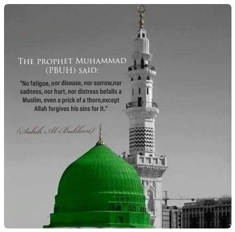 Milad Un Nabi Quotes, Nabi Quotes, Eid Milad Un Nabi, Milad Un Nabi, Eid Milad, Islam Hadith, Love In Islam, Muslim Love Quotes, Hazrat Ali