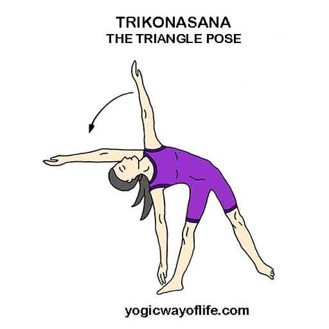 Yoga Poses - Asana List with Images - Yogic Way of Life Yoga Asanas Names, Power Yoga Poses, Yoga Cartoon, Triangle Pose, Yoga Anatomy, Yoga Lessons, Learn Yoga, Easy Yoga Workouts, Yoga For Flexibility