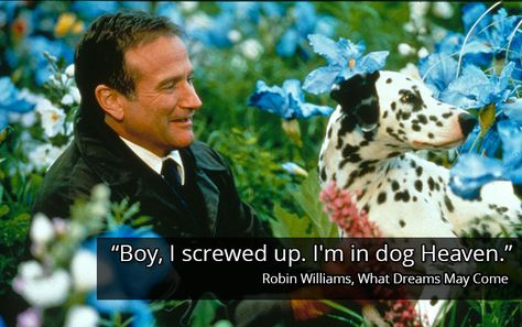 One last laugh... Robin Williams Movies, Robin Williams Quotes, Best Movie Quotes, What Dreams May Come, Dog Heaven, Dalmatian Dog, Movie Lines, After Life, Robin Williams