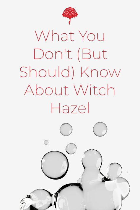 Since forever, witch hazel has been used as an astringent to tighten pores and reduce acne. But in recent times, it got a lot of bad press. Read on to find out if it's good or bad for your skin What Is Witch Hazel Good For, Witch Hazel Uses Skin Care Benefits, Witch Hazel Uses Skin Care, What Is Witch Hazel, Witch Hazel Benefits, Benefits Of Witch Hazel, Cat Acne, Witch Hazel Acne, Witch Hazel Uses