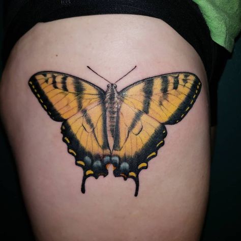 Western Tiger Swallowtail Tattoo Butterfly Tattoo Coloured, Retro Butterfly Tattoo, Yellow Monarch Butterfly Tattoo, Black And Yellow Butterfly Tattoo, Tiger Swallowtail Butterfly Tattoo, Colour Butterfly Tattoo, Colourful Butterfly Tattoo, Swallowtail Tattoo, Butterfly Tattoo Realistic