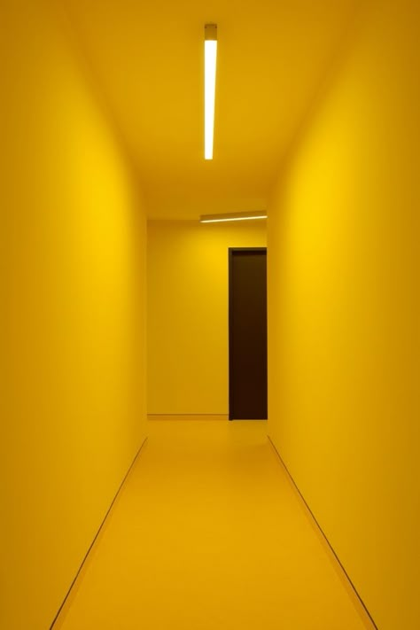 Yellow Hallway, Ruangan Studio, Aesthetic Yellow, Yellow Theme, Yellow Interior, New Background Images, Yellow Walls, Yellow Submarine, Yellow Wallpaper