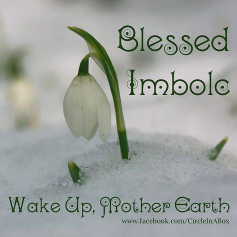 Hello and Blessed Imbolc to all.  Today is more than just Super Bowl Sunday and Groundhog day, it is also the Pagan holiday of Imbolc celebrated on February 2nd of each year (some will celebrate o… Imbolc Ritual, Pagan Festivals, Fire Festival, Magia Das Ervas, Beginning Of Spring, Spring Equinox, Season Of The Witch, Groundhog Day, Beltane