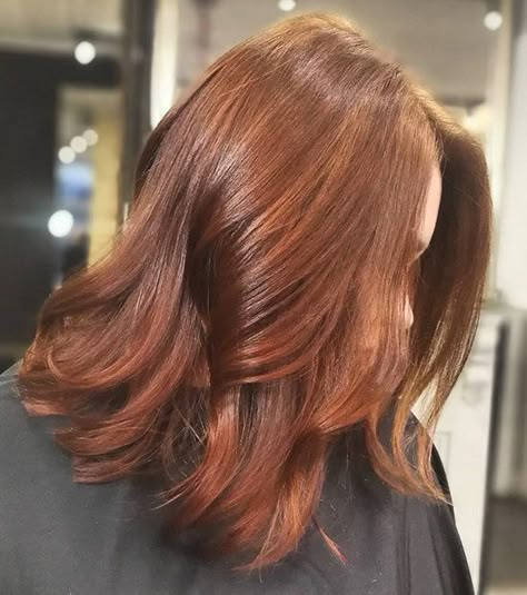 Auburn Hair Color Ideas, Auburn Hair Color, Schwarzkopf Hair Color, Chestnut Hair, Lilac Hair, Hair Color Auburn, Winter Hair Color, Auburn Hair, Red Hair Color