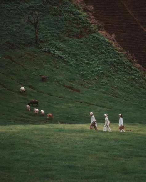 Voyage Voyage on Instagram: "Balade à Chiang Mai avec @bankpyt 📷 @bankpyt #chiangmai #green #mountains #hiking #walkindinthefields #thailand #northernthailand #mytinyatlas #asia #chaoprayariver #walking #somewhere #voyagevoyagemagazine" The Grass, Chiang Mai, Nature Aesthetic, Photography Inspo, Pretty Pictures, Film Photography, Mother Nature, Aesthetic Pictures, Sheep