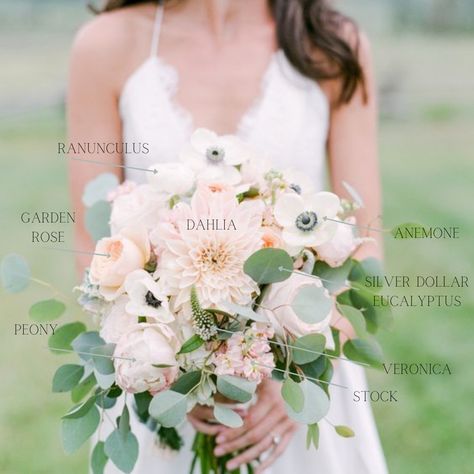 Blush Flower Bouquet Wedding, Stock Flowers Bouquet, Bouquet With Ranunculus, Dahlias Bridal Bouquet, Spring Wedding Flowers Peonies, Blush Flower Arrangements Wedding, Dahlias And Peonies, Anemone Bouquets, Blush Peonies Bouquet Wedding