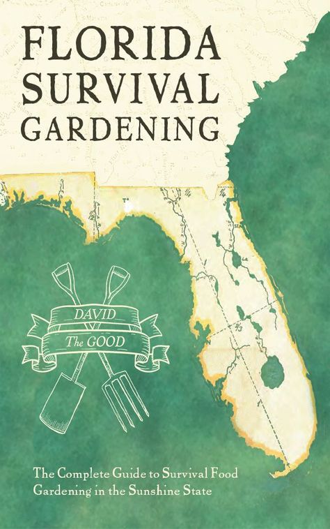 What To Plant in a Florida Orchard | The Survival Gardener Food Garden Ideas, Lasagna Gardening, Growing Raspberries, Moringa Tree, Canna Lily, Florida Food, Florida Gardening, Survival Gardening, Food Forest