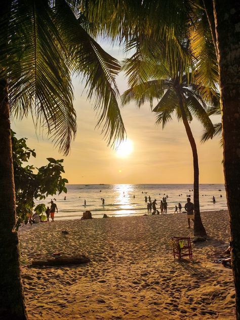 Sand, Palm Trees, and the sun Boracay Pictures, Philippines Aesthetic, Boracay Philippines, Bohol, Boracay, Aesthetic Pics, Summer Break, Island Life, Philippines