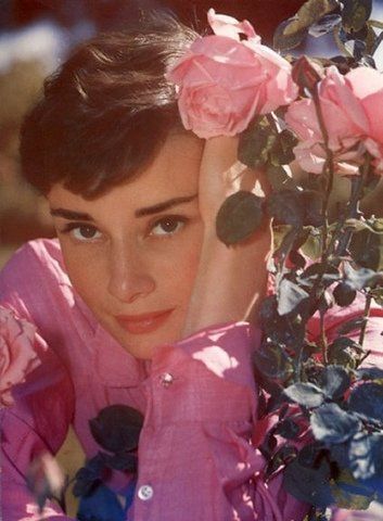 Audrey, 1955, Rome, Italy. Audrey Hepburn Born, Aubrey Hepburn, Audrey Hepburn Photos, Ben Johnson, Audrey Hepburn Style, I Believe In Pink, Hepburn Style, Pastel Decor, Katharine Hepburn