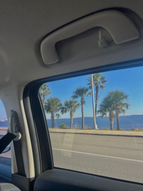 palm trees, car ride, beach day, beach trip, road trip, summer, ocean, playa Summer Road Trip Aesthetic, Road Trip Summer, March Sisters, Beach Road Trip, Cali Trip, Beach Cars, Korean Best Friends, Summer Ocean, Senior Trip