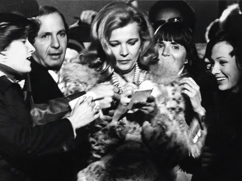 Opening Night - Apple TV John Cassavetes, Gena Rowlands, The Criterion Collection, Opening Night, Prime Video, Apple Tv, Actresses