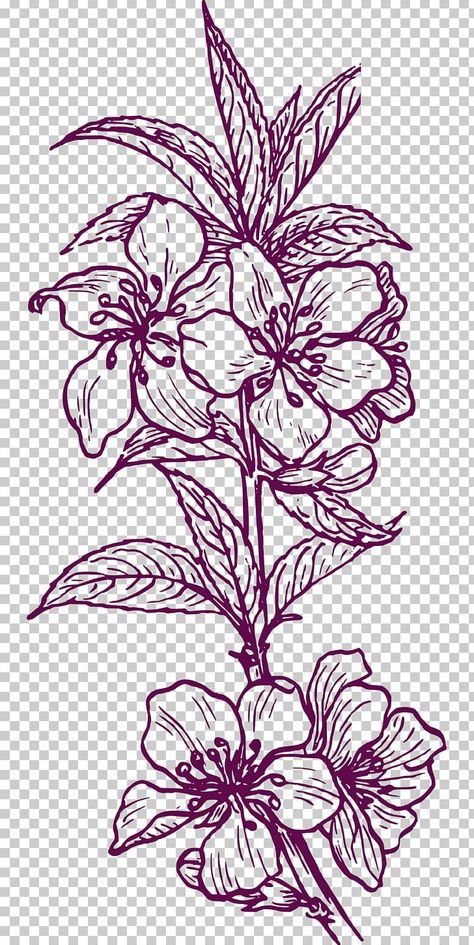 Vector Flower Design, Black And White Clip Art, Artwork Black And White, Floral Design Wallpaper, Haider Ali, Damask Design, Apricot Blossom, Clip Art Free, Chinese Flower