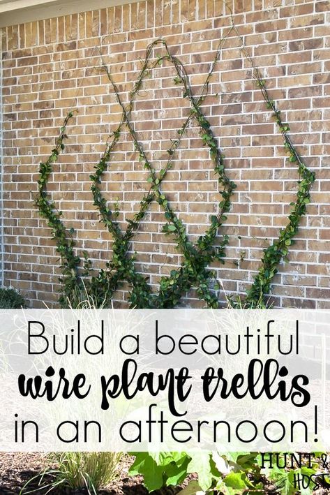 How to Build A DIY Wire Trellis on a Wall, instructions on how to install a wire trellis on a brick wall in an afternoon, no special tools needed, plus what plants to use on a trellis. Hops Trellis, Blackberry Trellis, Window Trellises, Grape Trellis, Wire Trellis, Vine Trellis, Wall Trellis, Diy Garden Trellis, Plant Trellis