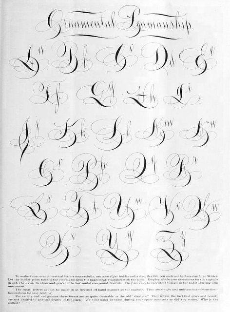 "Ornamental Penmanship" an example of Vertical Penmanship. From Zaner-Bloser publication, The Penman-Artist and Business Educator", vol. 26 (1900). Ornamental Penmanship, Tattoo Script Fonts, Flourish Calligraphy, Copperplate Calligraphy, Alfabet Letters, Tattoo Lettering Fonts, Hand Lettering Alphabet, Calligraphy Handwriting, Lettering Alphabet Fonts