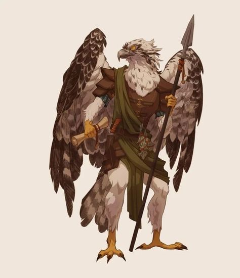 Aaracokra Ranger, Falcon Aarakocra, Aakocra Dnd, Arakokra Dnd Art, Bird Folk Dnd, Dnd Aracokra, Eagle Aarakocra, Aarakocra Eagle, Aarakocra Dnd Female