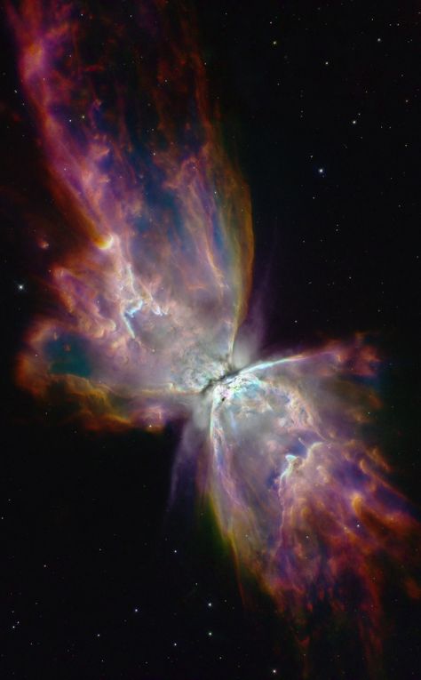 Butterfly Nebula, Space Background, Orion Nebula, Space Photography, Universe Galaxy, Hubble Space, Space Images, Space Pictures, Hubble Space Telescope