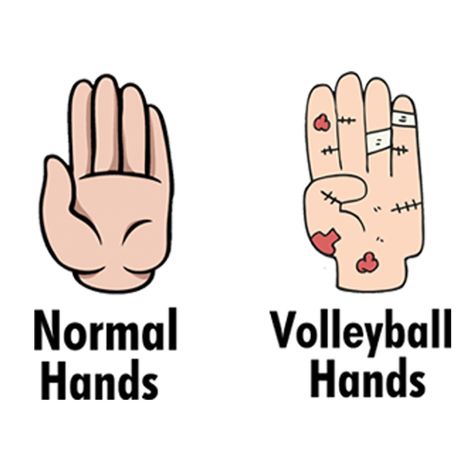 🙌😭 Volleyball Astethic, Volleyball Hands, Volleyball Facts, Jack Sparrow Funny, Volleyball Jokes, Volleyball Photography, Volleyball Humor, Volleyball Quotes, Volleyball Pictures