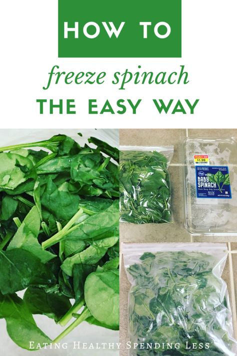 Freezing Spinach, How To Store Spinach, Freeze Spinach, Homemade Protein Shakes, Bacon Zucchini, Freezing Vegetables, Freezing Fruit, Frozen Veggies, Spinach Recipes