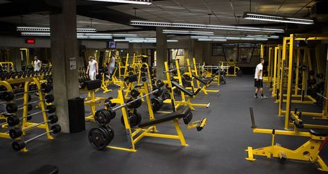 Luxurious Gym, Dream Home Gym, Phil Heath, Ronnie Coleman, Visiting Nyc, University Of Missouri, South Beach Miami, Athletic Clubs, Best Gym