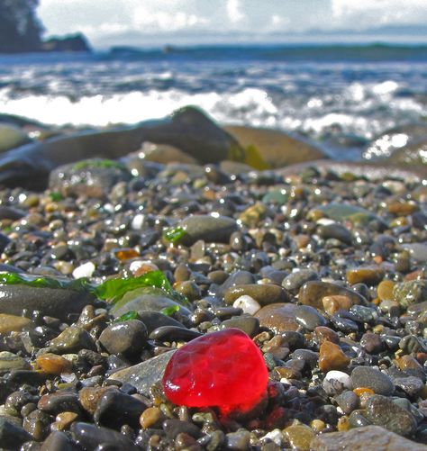 Red sea glass on the beach. Stone Beach, Red Sea Glass, Glass Book, Sea Glass Colors, Ocean Treasures, Glass Beach, Sea Glass Beach, Fort Bragg, Sea Glass Crafts