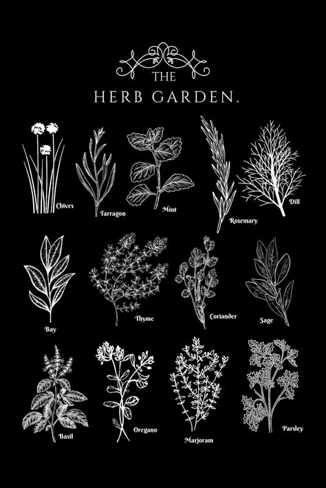 Lisa Burningham Vegetable and Herb Printable 030923 - Google Drive Vegetable Garden Embroidery Designs, Herb Embroidery Patterns Free Printable, Herbs Wallpaper, Herbs Poster, Herb Illustration, Pictures For Kitchen Walls, Herb Embroidery, Herbs Illustration, Book Journaling