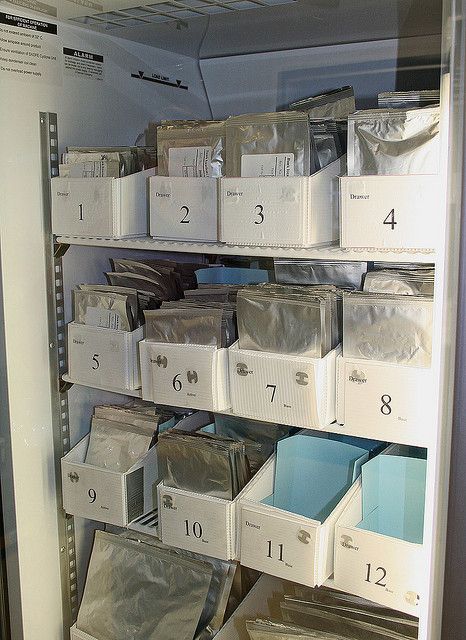 Seed bank (ii) Freezer unit holding collections in long term storage at the Tasmanian Seed Conservation Centre. Seeds Storage, Seed Collecting, Storing Seeds, Garden Rows, Seed Sprouting, Farm Inspiration, Seed Storage, Library Inspiration, Long Term Food Storage